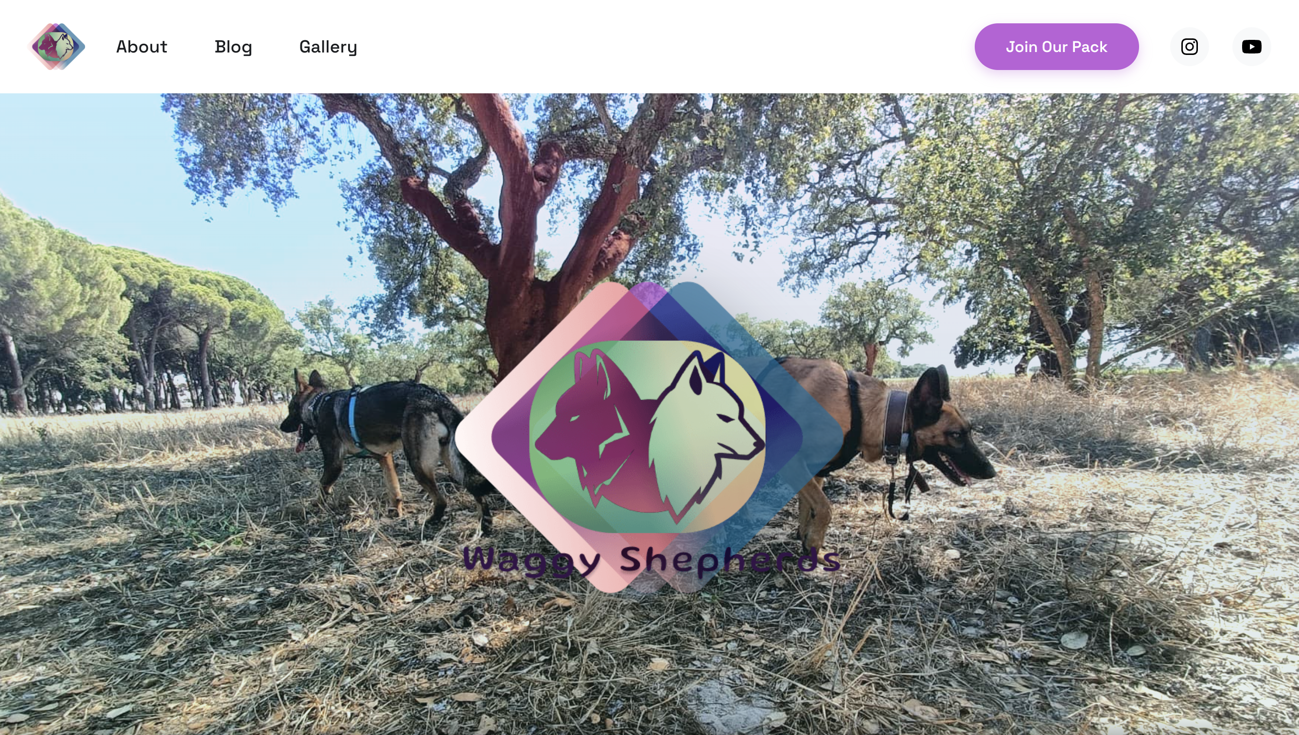 Waggy Shepherds